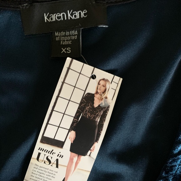 Velvet Dress - Picture 5 of 6